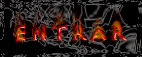 Entrar